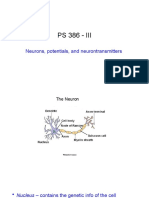 PS 386 - III: Neurons, Potentials, and Neurontransmitters