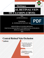 Central Retinal Vein Occlusion (CRVO) - AGNES DANIELLA