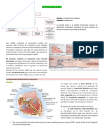 C3 - Fisiología Del Sistema Cardiovascular