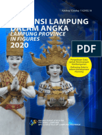 Lampung Dalam Angka 2020