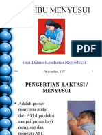 Gizi Ibu Menyusui