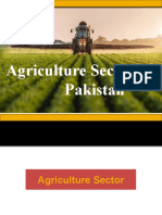 Agriculture Sector