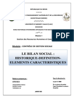 Le Bilan Social Historique Definition Elements Caracteristiques