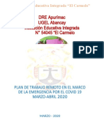 Plan Remoto 2020