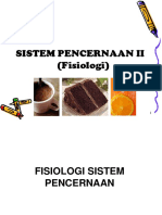 Sistem Pencernaan 2