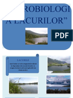 Microbiologia Lacurilor