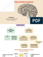 Central Nervous System Physiology: Lecturer - I. Savinkova, PHD