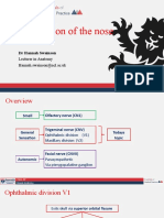 4d. Nasal Innervation NN