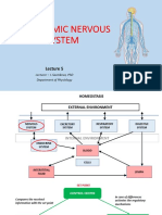 Autonomic Nervous System: Lecturer - I. Savinkova, PHD Department of Physiology