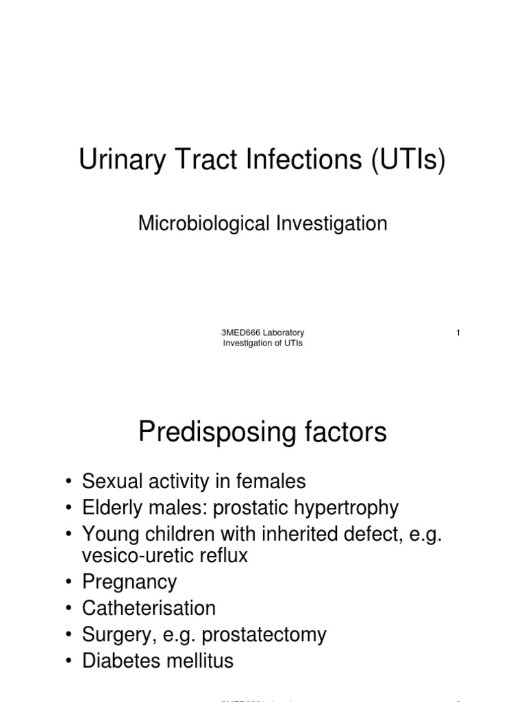 Investigation of Urinary Tract Infections A Guide to the Microbiological Testing and Diagnosis