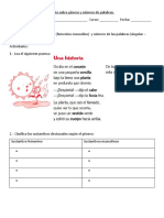 Guía sobre género y número de palabras