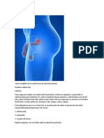 Conferencia de Salud de PROSTATA