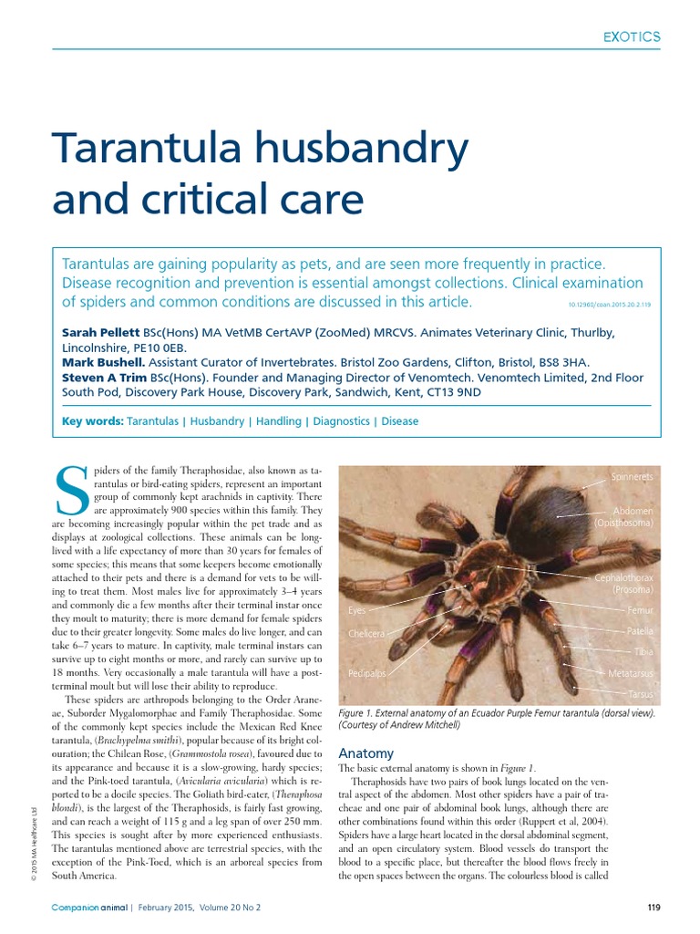 Tarantula Husbandry and Critical Care Pellett2015 | PDF | Anesthesia ...