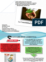 TCC CONTABILIDAD AMBIENTAL