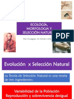 Clase 4 Ejemplos de Seleccion Natural - Evidencia Genetica Ecologica y Morfologica