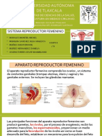 Universidad Autónoma de Tlaxcala: Sistema Reproductor Femenino