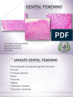 aparatogenitalfemenino-130709175534-phpapp02