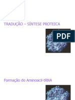 tradução