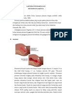 Lp. Retensio Plasenta