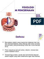 Fisiologi Sistem Pencernaan