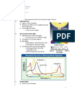 Notes Photosynthesis