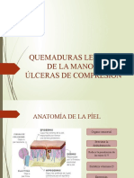 2020-2 Quemaduras, Lesiones de Mano y Úlceras de Compresión