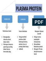 Fungsi Plasma Protein