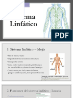 Sistema Linfatico Presentacion