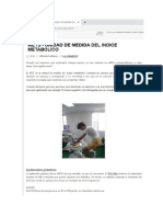 INDICE METABOLICO (1) PDF