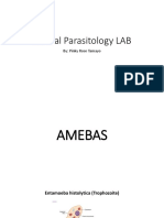 Clinical Parasitology LAB: By: Pinky Rose Tamayo