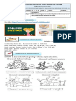 GUIA No 1. D.COMUNICATIVA - INGLES