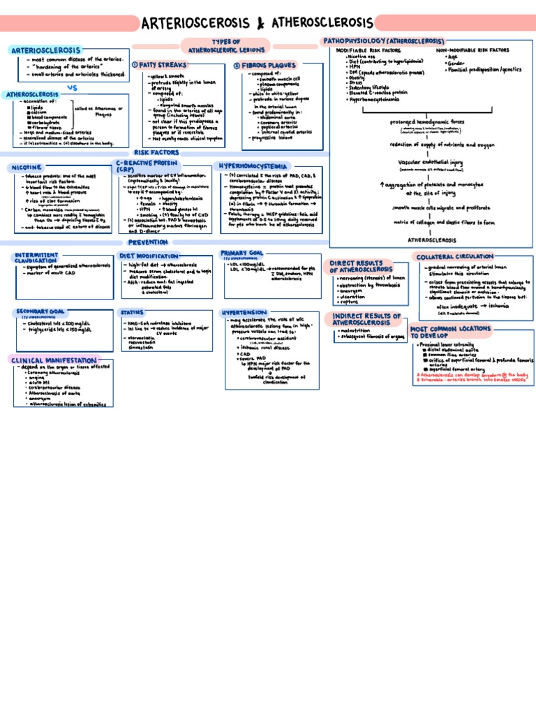 Notes Atherosclerosis | PDF | Atherosclerosis | Artery