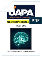 Tarea VI y VII de Neuropsicologia