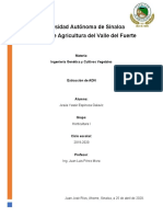 Tarea Extración de ADN