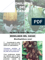 13.1 Moniliasis Del Cacao y Escoba de Bruja