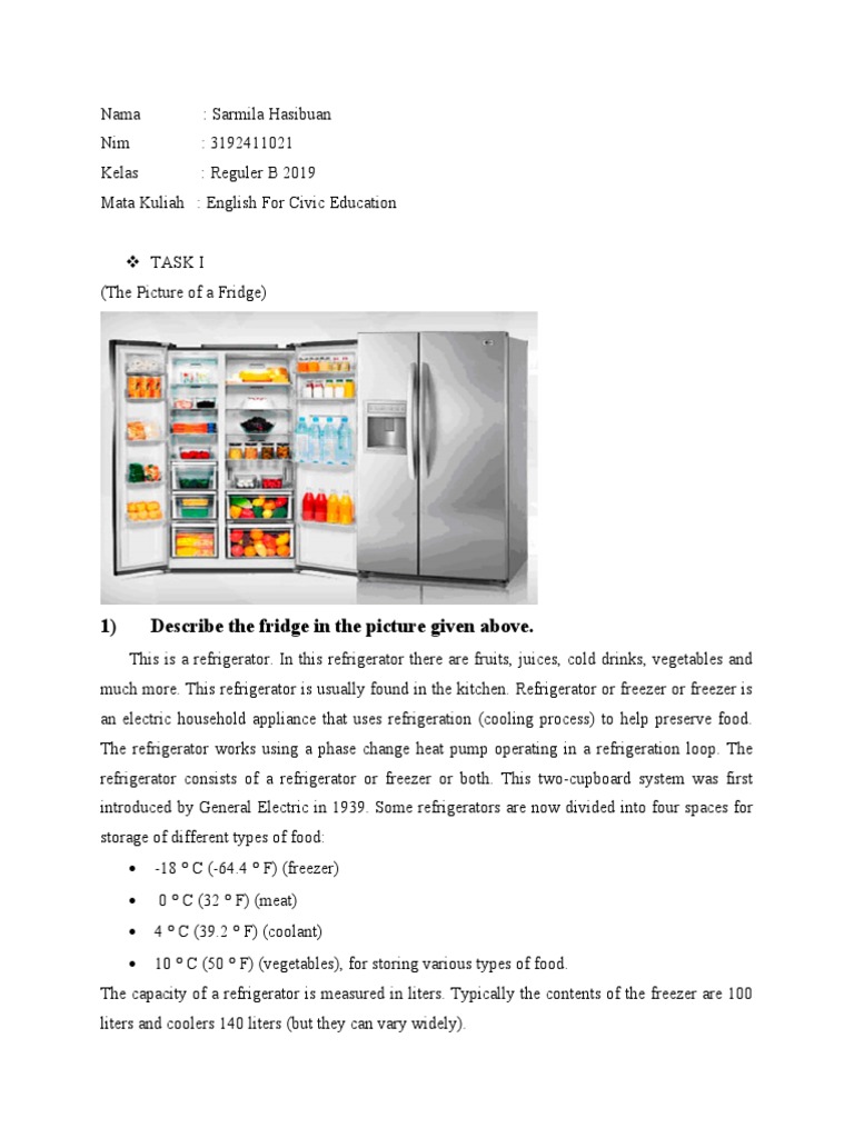 Describing a Refrigerator | PDF | Refrigerator | Home