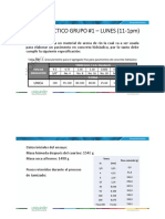 Datos para informe Practica _1.pdf_58695696ce7742327570d205cc14e6f6 (1)