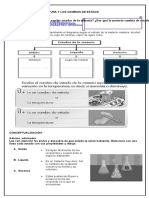 Guia 1 Contenido 2 NATURALES