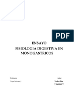 Fisiologia Digestiva en Monogastrico