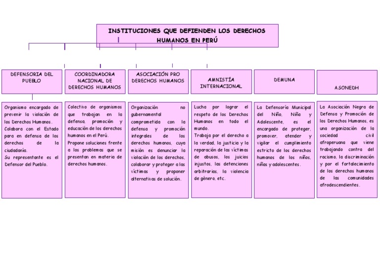 Instituciones que defienden derechos humanos en Perú | PDF | Derechos ...