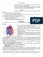 El Sistema Circulatorio I