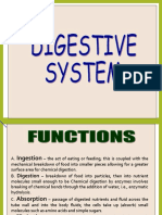 Digestive System1