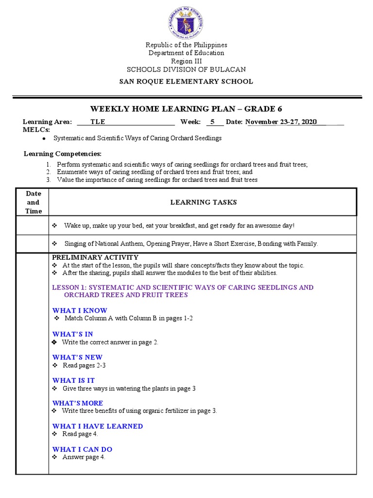 Weekly Home Learning Plan - Grade 6: San Roque Elementary School | PDF ...
