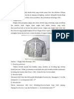 Anatomi Radiografi Paru