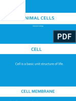 Animal Cells - Zoology