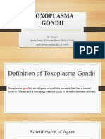 Toxoplasma Gondii: by Group 6 Stella Fresky Wisdayanti Batara (K011171806) Andi Ravida Rahma (K011171807)