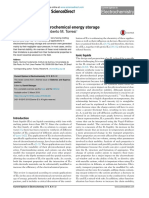 Review Article Ionic Liquids in Electrochemical Energy Storage