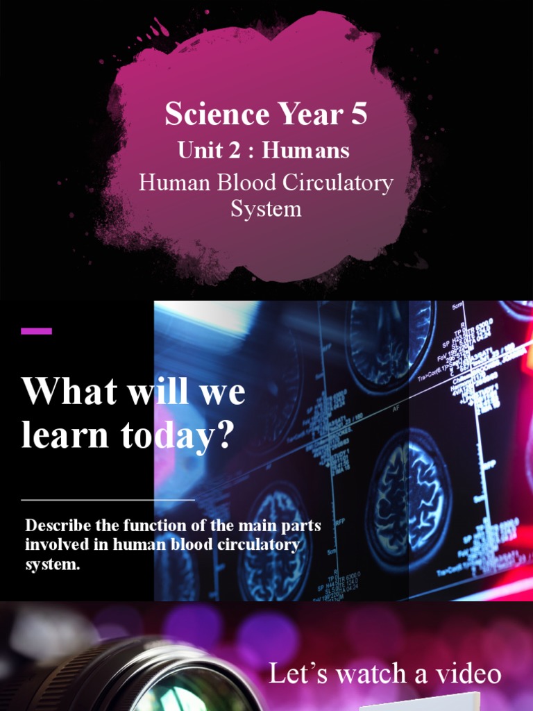 Science Year 5 Human Blood Circulatory System | PDF