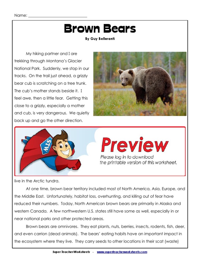 Brown Bears: by Guy Belleranti | PDF | Grizzly Bear | Bears