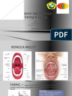 Anatomi Fisiologi Faring Laring - Melinda
